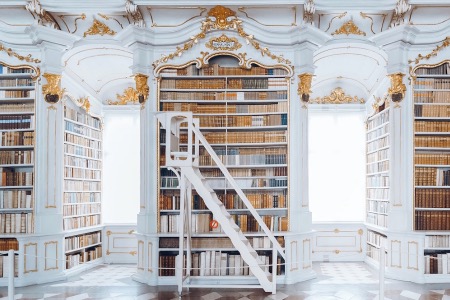 Image of baroque library shelves and a ladder to access the upper shelves.